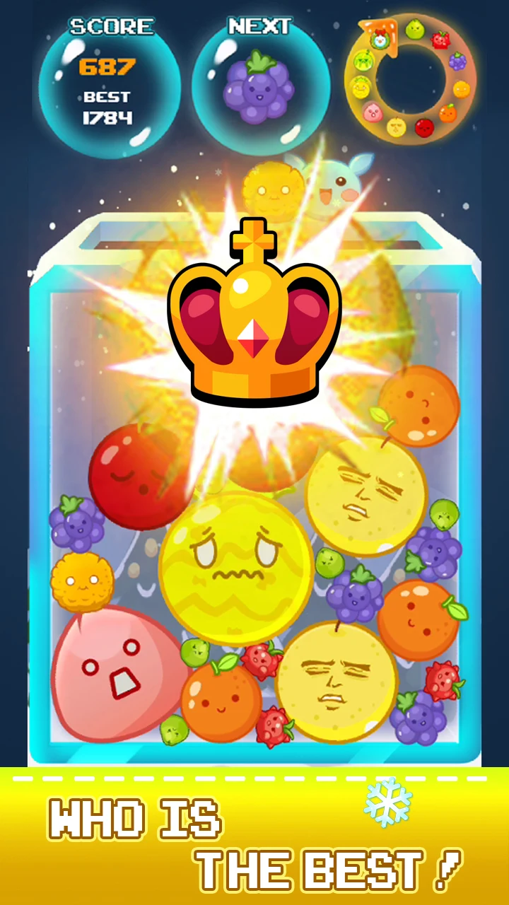 Drop Fruit - Fruit Merge screenshot